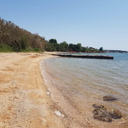 Olive Tree Mobile Homes Apartment Biograd Na Moru
